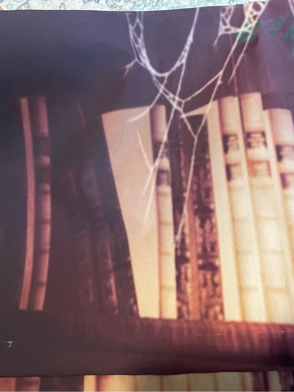 Magic Fantasy Library Window Nook Photography Backdrop 5x7